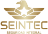 Seintec Seguridad Integral