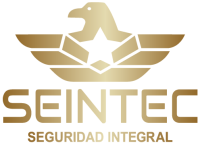Seintec Seguridad Integral